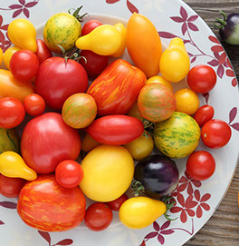 Full Belly Catering Plate of Tomatoes